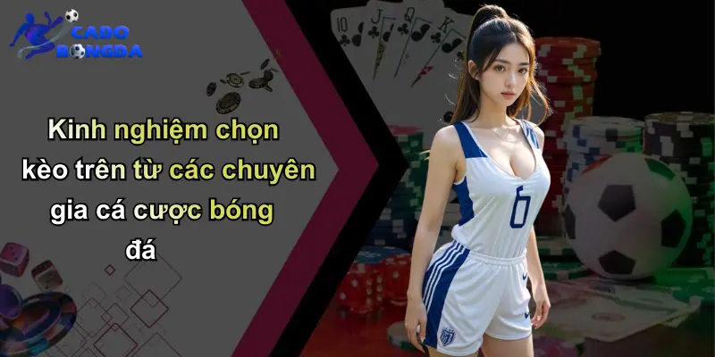 Kinh nghiệm chọn kèo trên từ các chuyên gia cá cược bóng đá