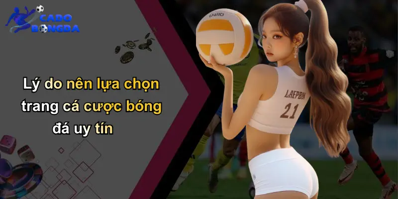 Lý do nên lựa chọn trang cá cược bóng đá uy tín