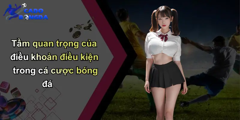 Tầm quan trọng của điều khoản điều kiện trong cá cược bóng đá