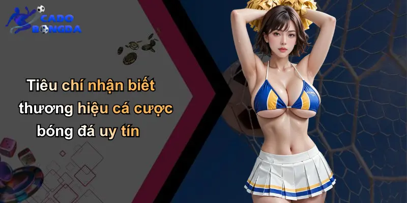 Tiêu chí nhận biết thương hiệu cá cược bóng đá uy tín