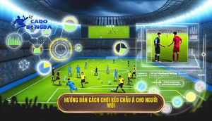 Hướng dẫn cách chơi kèo châu Á cho người mới