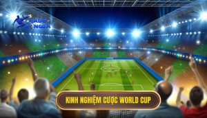 Kinh nghiệm cược World Cup