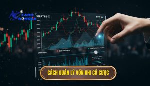 cách quản lý vốn khi cá cược