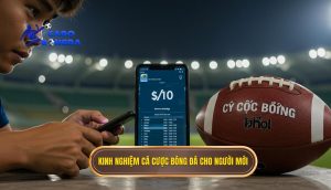 kinh nghiệm cá cược bóng đá cho người mới
