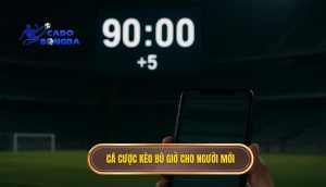 Cá cược kèo bù giờ cho người mới