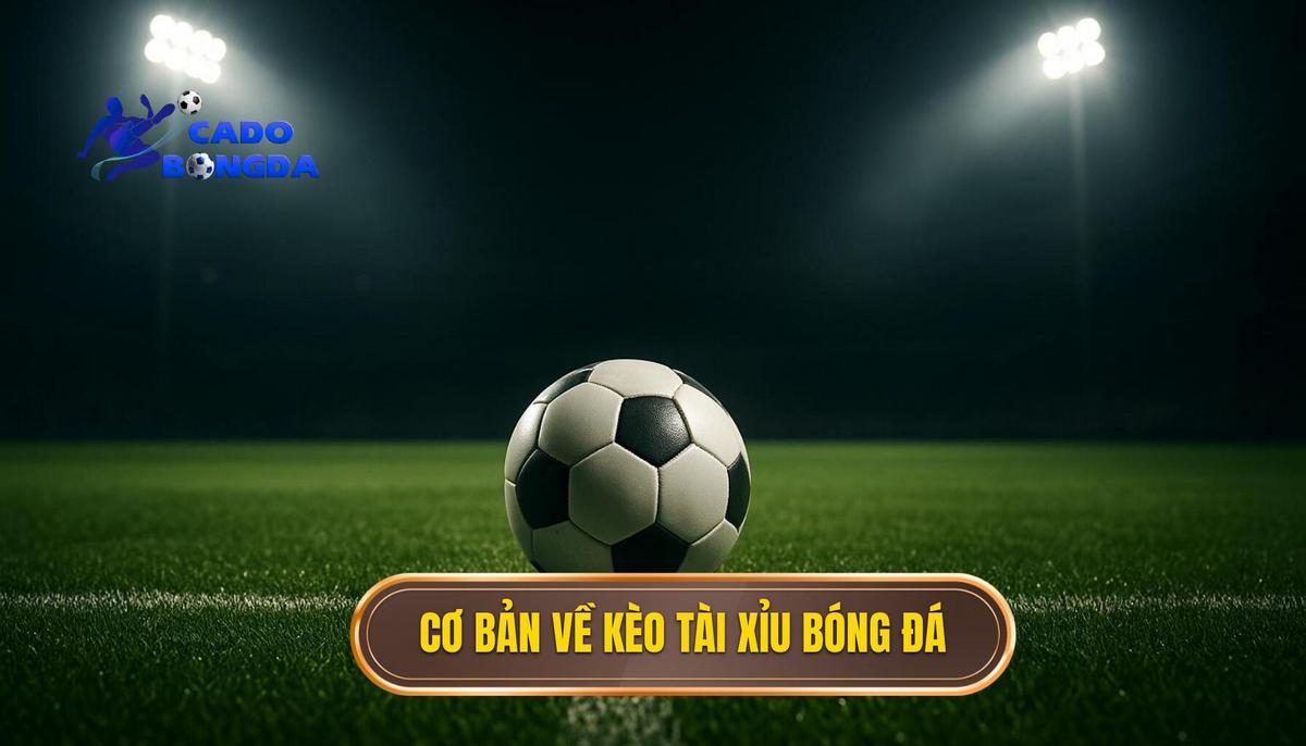 Nền Tảng Cơ Bản Về Kèo Tài Xỉu Bóng Đá