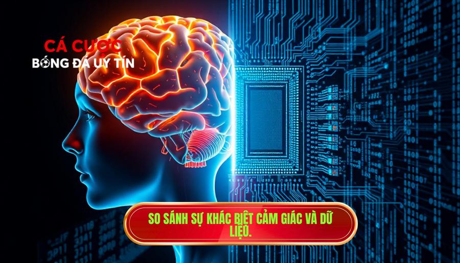 Phân tích sự khác biệt giữa Cảm giác và Dữ liệu